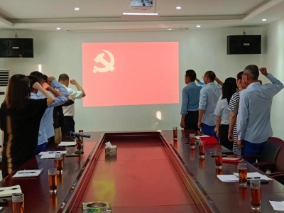 不忘初心，砥礪前行——創(chuàng)輝電氣黨支部開展“對黨說句心里話”主題黨日活動